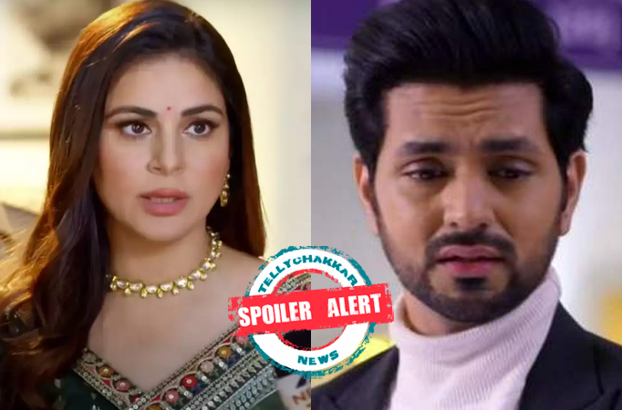 Spoiler Alert! Udaariyaan: Naaz puts a new plan into motion to get rid of Nehmat