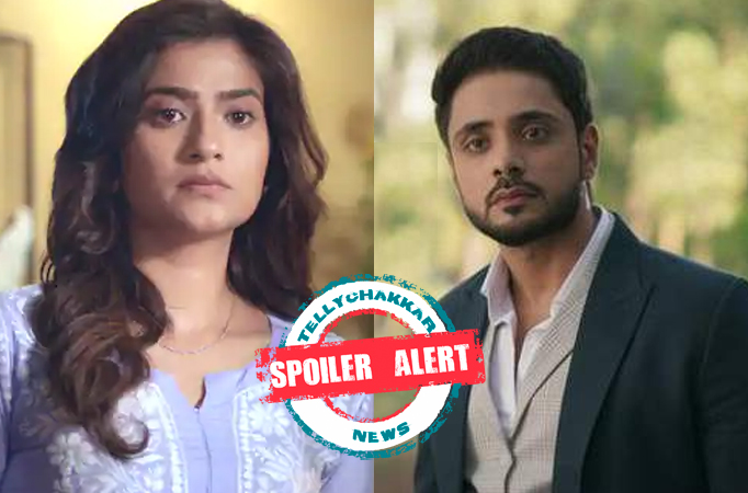 Spoiler Alert! Katha Ankahee: Ehsan invites Katha home; Viaan feels uncomfortable 