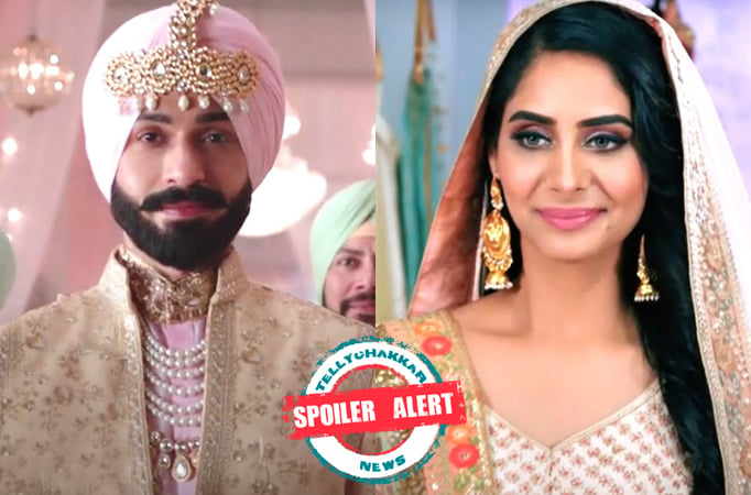 Spoiler Alert! Teri Meri Doriyaann: Star Parivar comes together to attend Angad and Seerat's wedding 