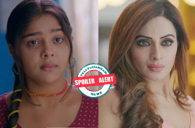 Spoiler Alert! Faltu: Faltu finds a major clue about Kanika being the mastermind 