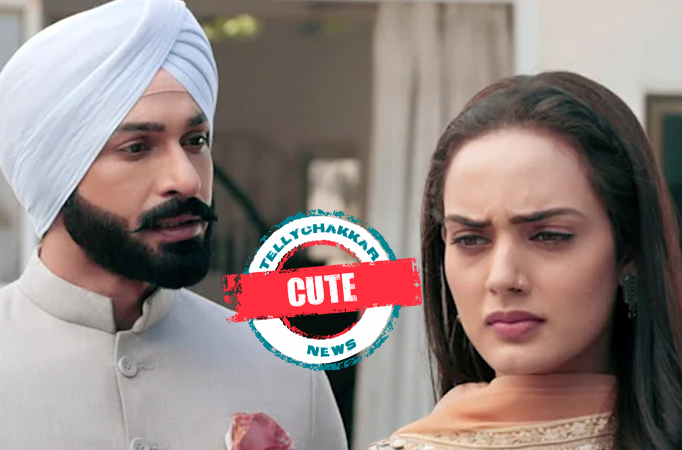 Teri Meri Doriyaann: Cute! Angad and Sahiba share a sweet moment together 