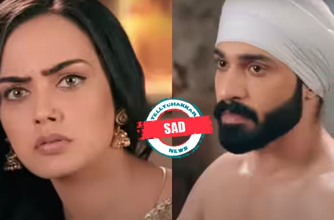 Teri Meri Doriyaann: Sad! Sahiba worried about her relationship with Angad 