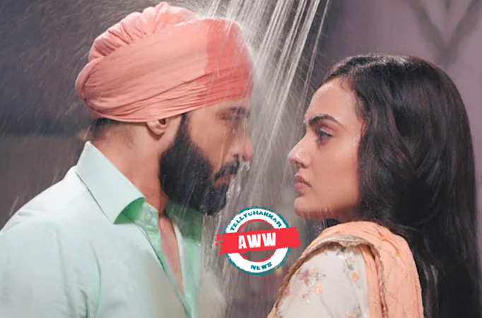 Teri Meri Doriyaann: Aww! Angad's anger melts after experiencing Sahiba's loyalty 