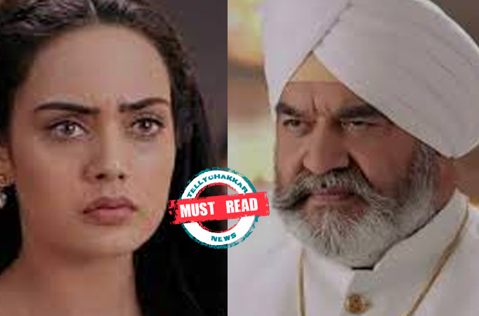 Teri Meri Doriyaann: Must read! Sahiba tries to make a name for herself; receives backlash from Daarji  