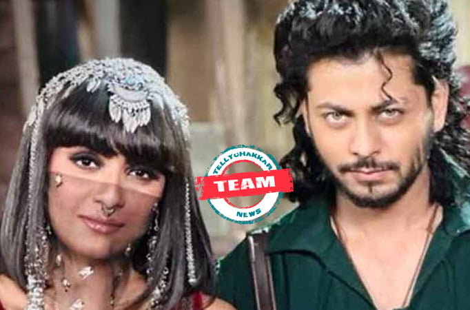 Alibaba – Ek Andaaz Andekha: Team! Ali wants to join hands with Simsim