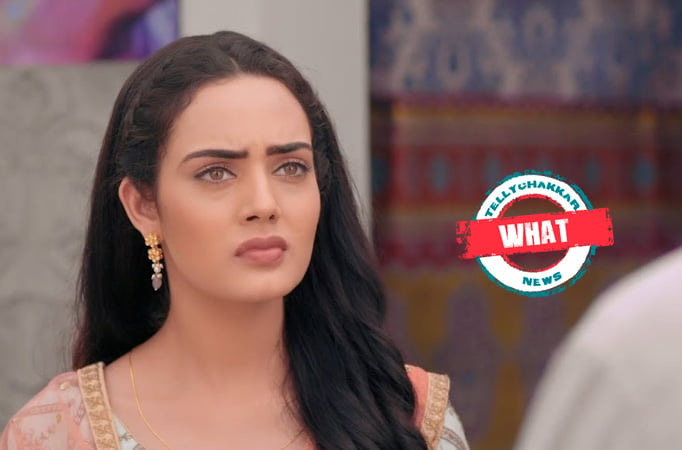 Teri Meri Doriyaann: What! Sahiba decides to give up her career and stay home 