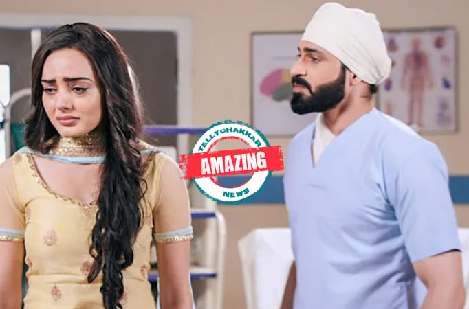 Teri Meri Doriyaann: Amazing! Sahiba’s effort brings Angad and his father closer! 