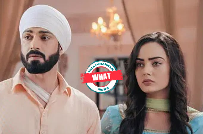 Teri Meri Doriyaann: What! Angad compels Sahiba to slap him, latter raises her hand 