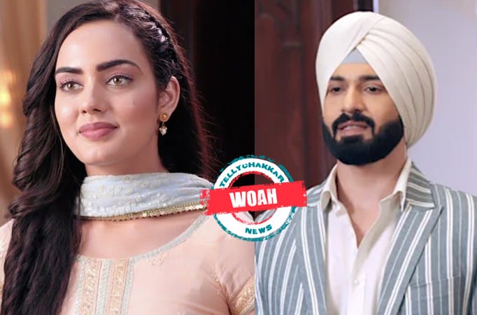 Teri Meri Doriyaann: Woah! Angad hits the guest who speaks ill about Sahiba 