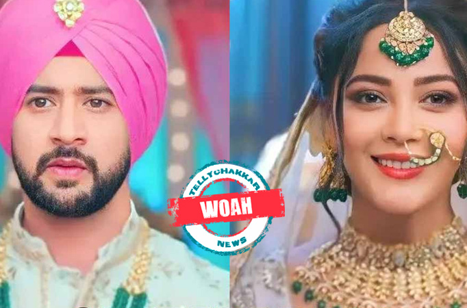 Dil Diyaan Gallaan: Woah! Veer-Amrita finally get married, Riya and Dollar to stay in the Brar house