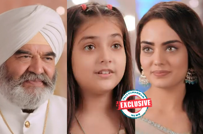 Teri Meri Doriyaann: Exclusive! Inderpal and Simran finally come face to face, Sahiba in doubt! 