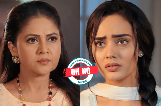 Teri Meri Doriyaann: Oh no! Manveer curses Sahiba to suffer the same fate as her 