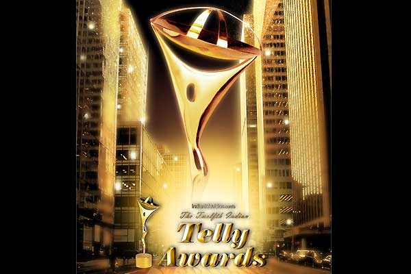 The Twelfth Indian Telly Awards