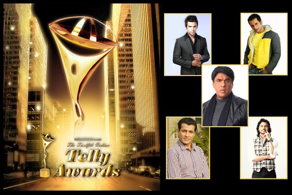 Twelfth Indian Telly Awards - Best Supporting Actor