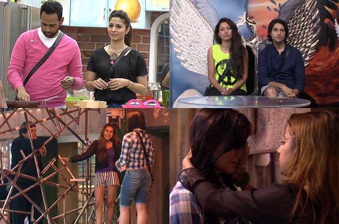 Day 5 synopsis - Bigg Boss Saath 7 