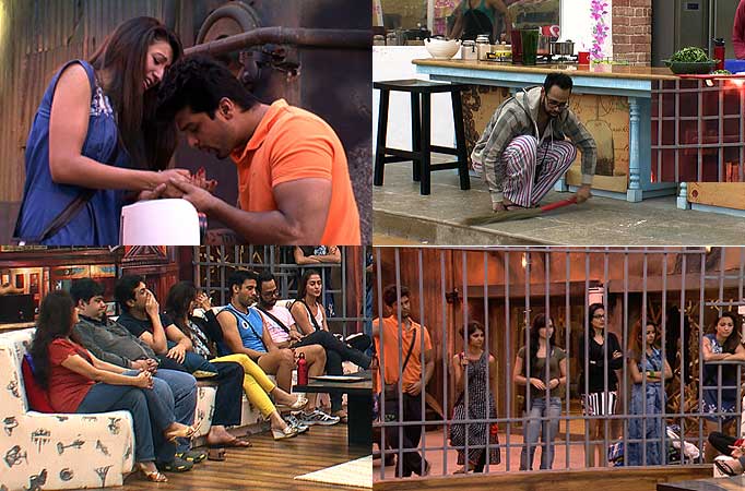 Day 8 Synopsis- Bigg Boss Saath 7