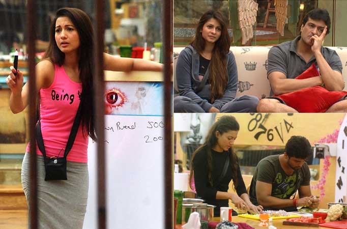 Day 12 synopsis - Bigg Boss Saath 7