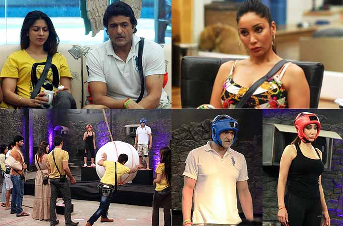 Synopsis Day 81: Bigg Boss Season Saath 7  