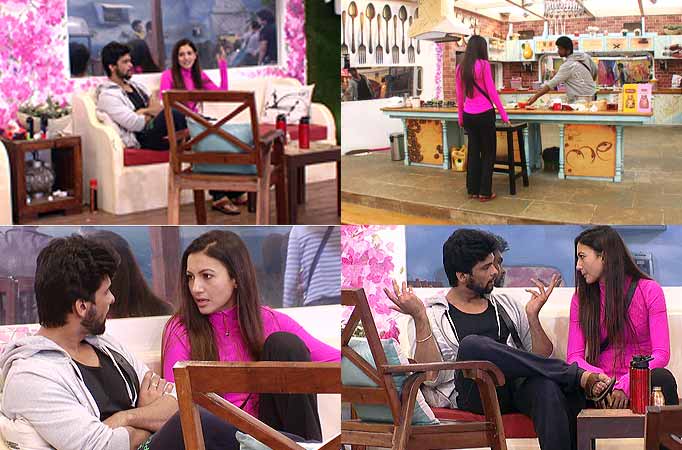 Kushal and Gauahar