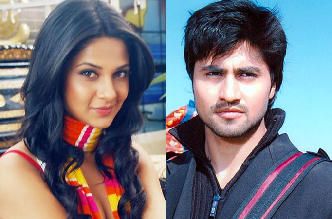 Jennifer Winget and Harshad Chopda