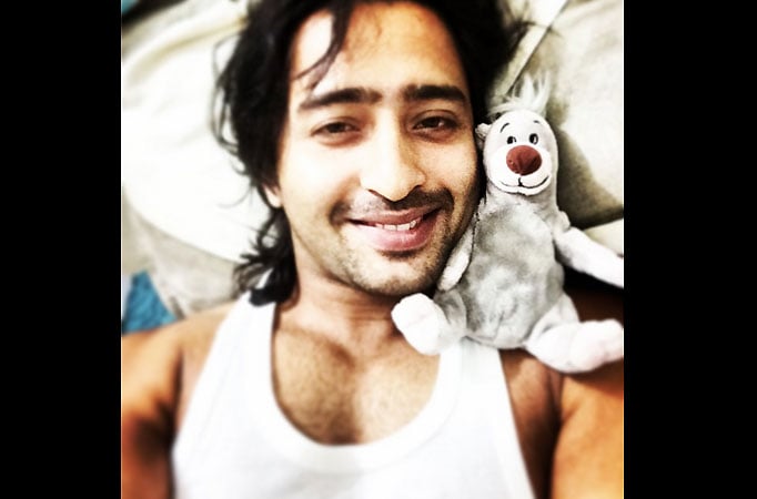 Shaheer Sheikh