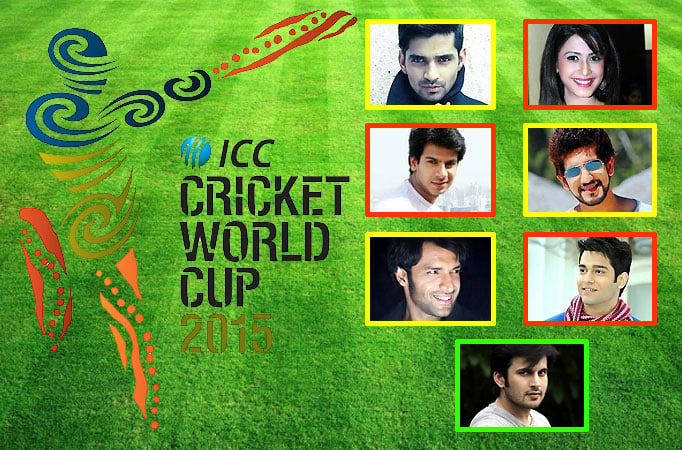 TV stars talks about World Cup 2015