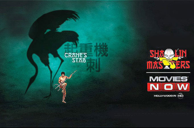 This February experience the next level of Shaolin only on MOVIES NOW