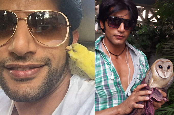 Karanvir Bohra 