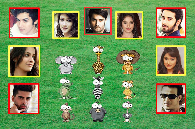 #WorldEnvironmentDay: TV celebs and their animal twin!