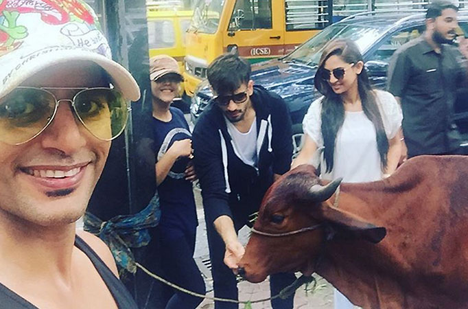 Karanvir Bohra, Karan Tacker, Krystle D