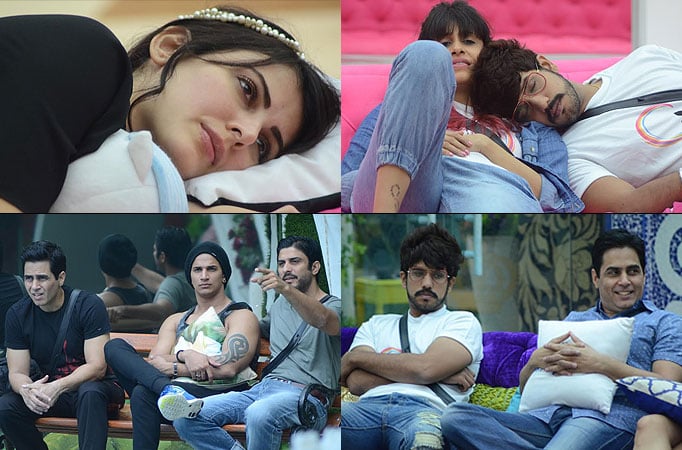 Synopsis: Bigg Boss Double Trouble Day 17