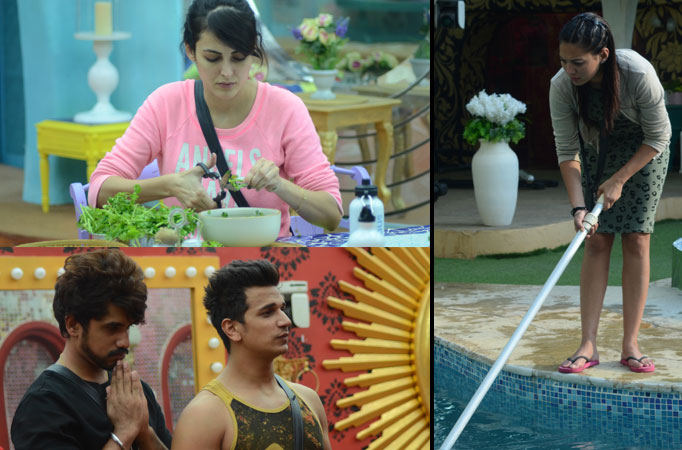 Synopsis: Bigg Boss Double Trouble Day 29