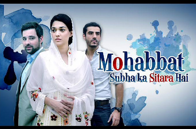 Mohabbat Subha Ka Sitara Hai 