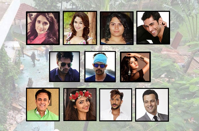 Terrorism is a vicious sin, peace the only way out, say TV celebs