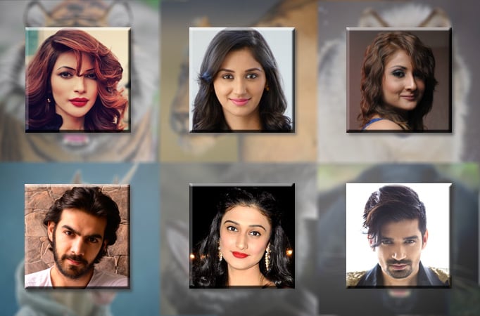 TV celebs chose their 'ichadhari' avatar