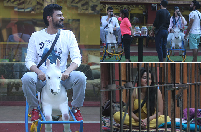 Bigg Boss 10: Synopsis Day 5