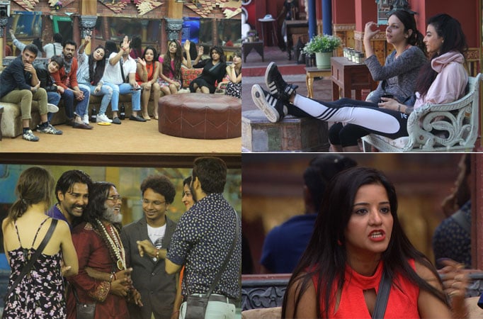 Bigg Boss 10: Synopsis Day 24