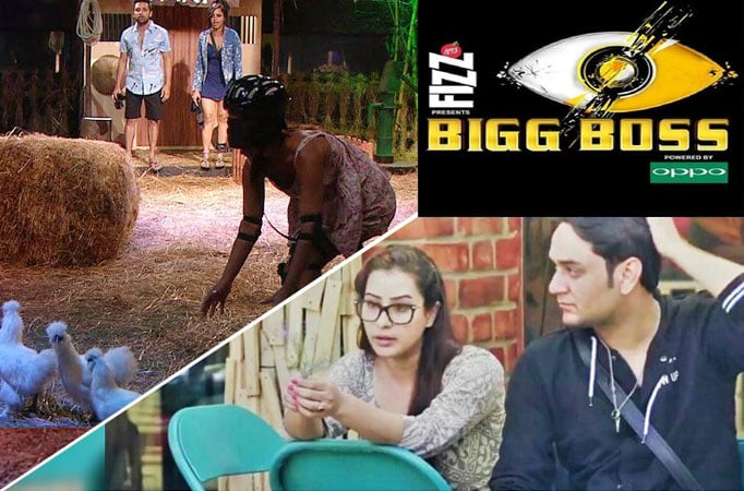 BB 11 synopsis: Vikas seeks revenge from Shilpa, Hina Khan's KKK moment 