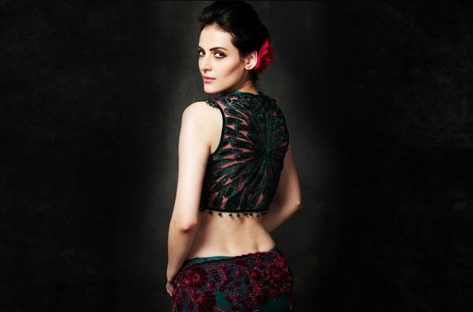 Mandana Karimi  refuses web series for her pet  