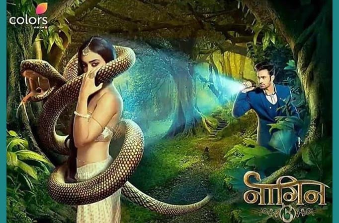 Naagin 3