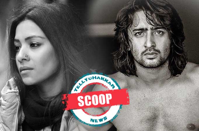 Barkha Sengupta and Shaheer Sheikh