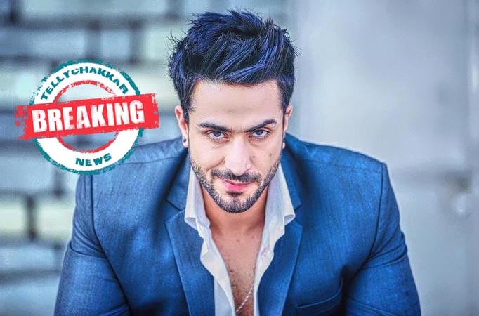 Aly Goni