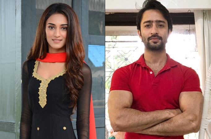 Erica Fernandes and Shaheer Sheikh's cute conversation