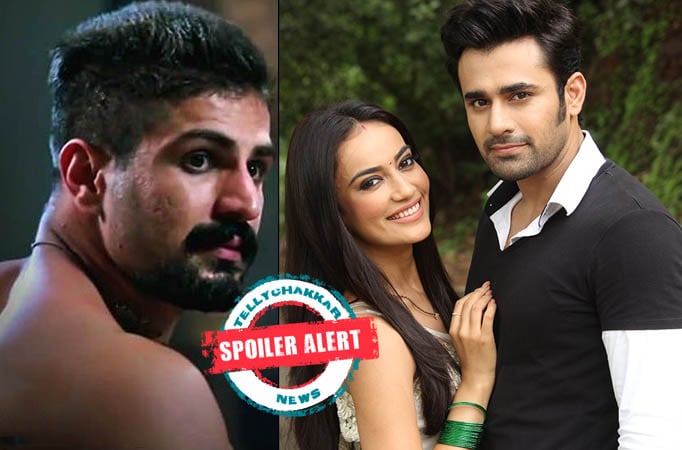 What! Vikrant to sacrifice his love and unite Bela and Mahir in Naagin 3 