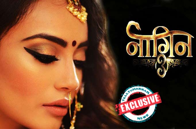 Naagin 3