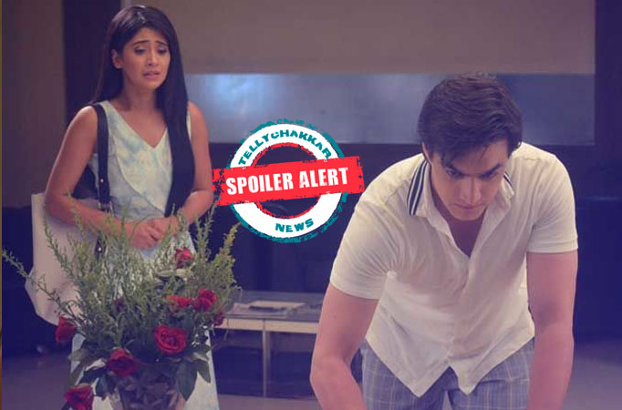 Naira signs divorce papers in Yeh Rishta Kya Kehlata Hai