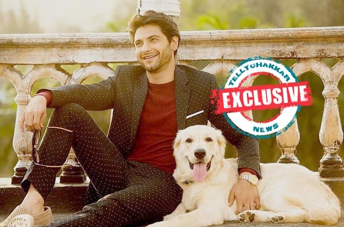 Mishal Raheja 