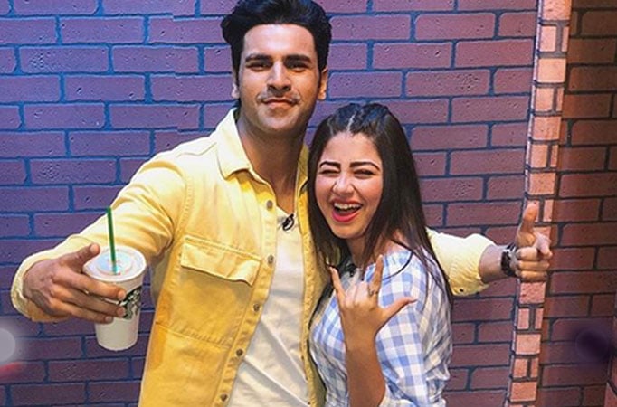 Vivek Dahiya and Aditi Bhatia 