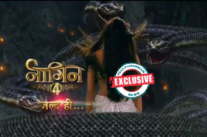 Naagin 4