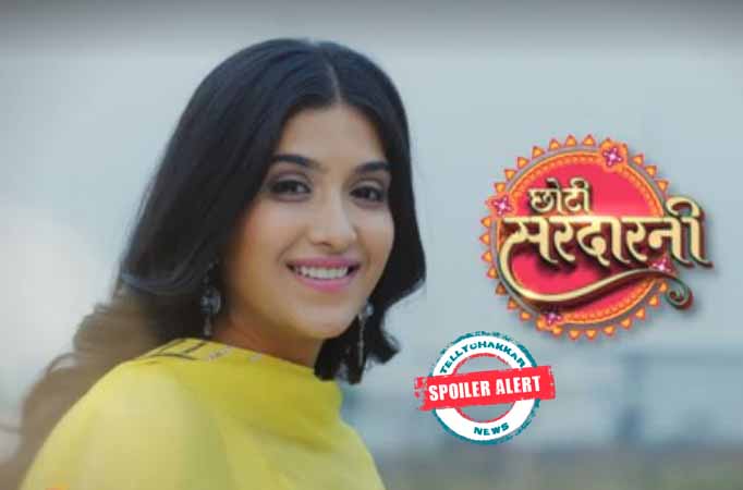 Kulwant forces Meher to consummate in Choti Sardarni